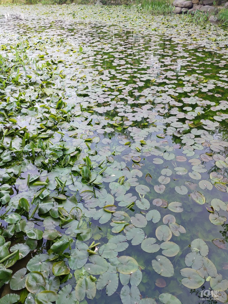 錢江新城世紀花園