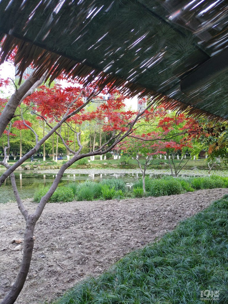 錢江新城世紀花園