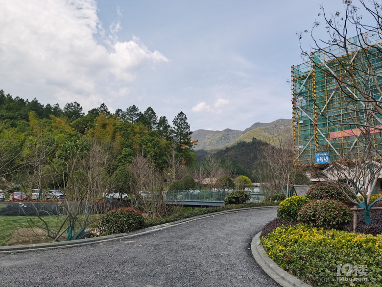 新湖-金色池塘新湖
