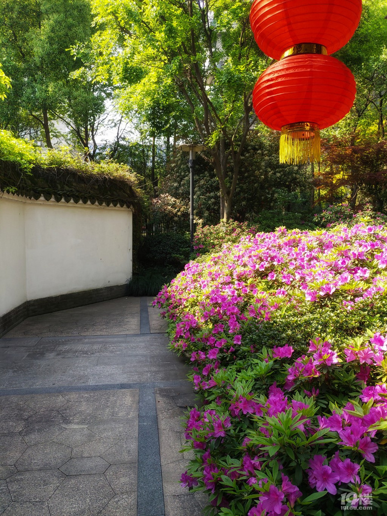 黎明公園杜鵑節(jié)