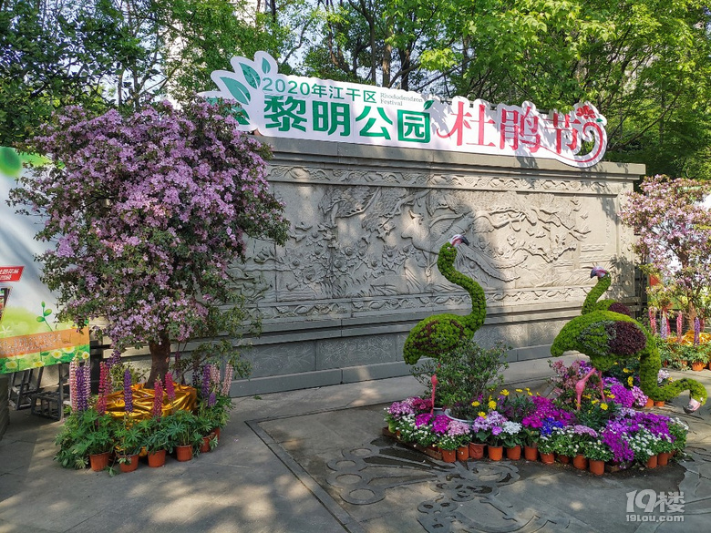 黎明公園杜鵑節(jié)