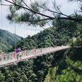 鿴ß