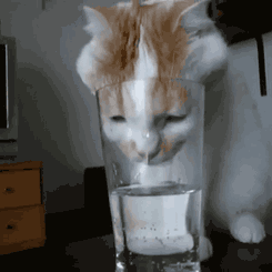 ҕع⡰رˮMˮ߀ҺȆ