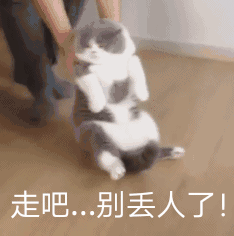 我尋思著養(yǎng)一只貓能有多貴，直到它咬爛了我的香奈兒…