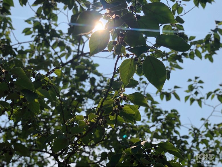 【親子游記】+ 夏至未至的南京