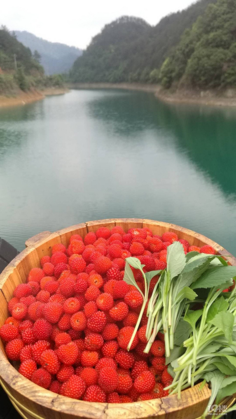 五一驚艷的千島湖