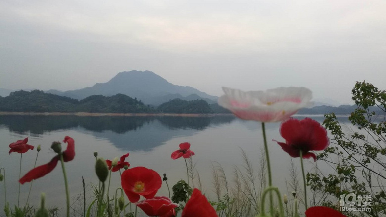五一驚艷的千島湖