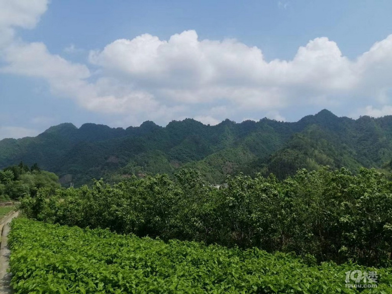 五一驚艷的千島湖