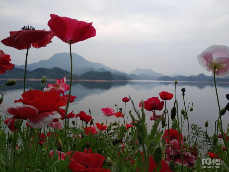 五一驚艷的千島湖