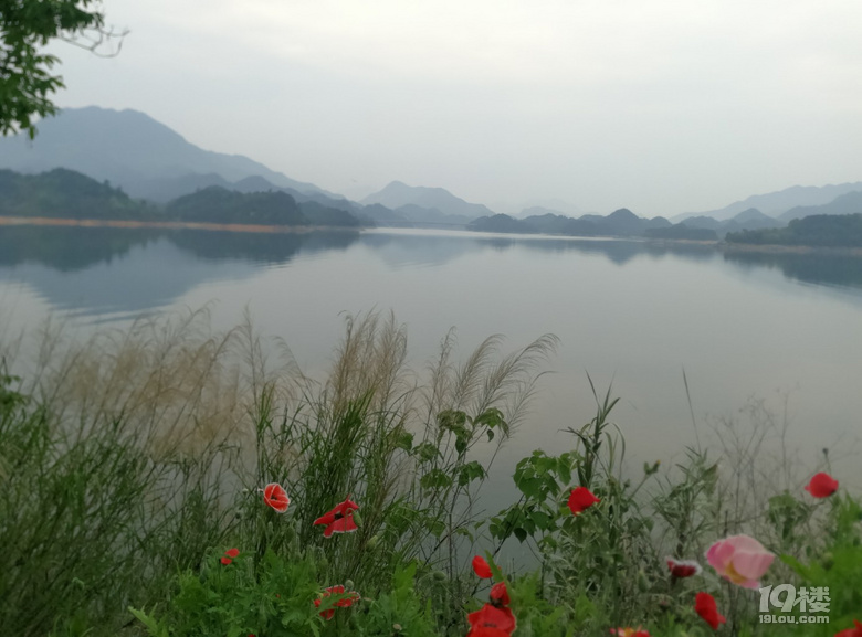 五一驚艷的千島湖