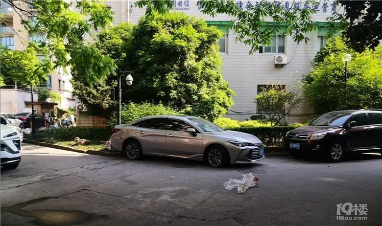 為何他要無緣無故砸人家車子呢？