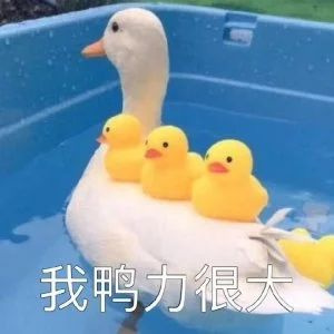 һŮԼJ(rn)X