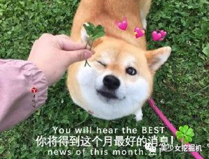 һŮԼJ(rn)X