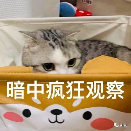 換頭史比AB還精彩！青你2最美選手太勵志了！