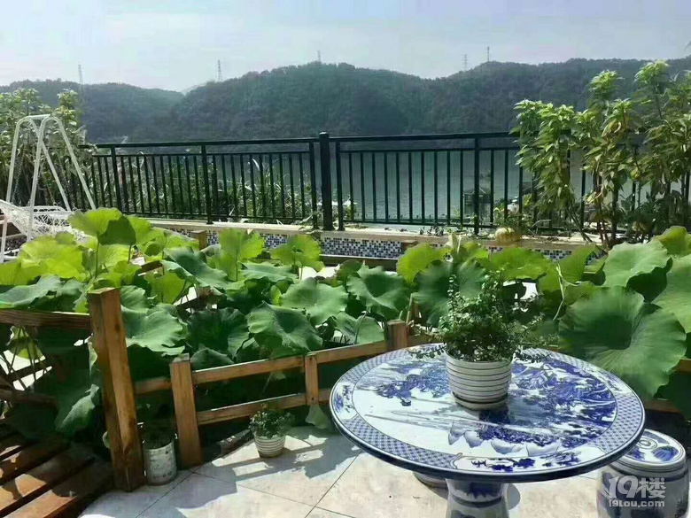 鿴ԭD