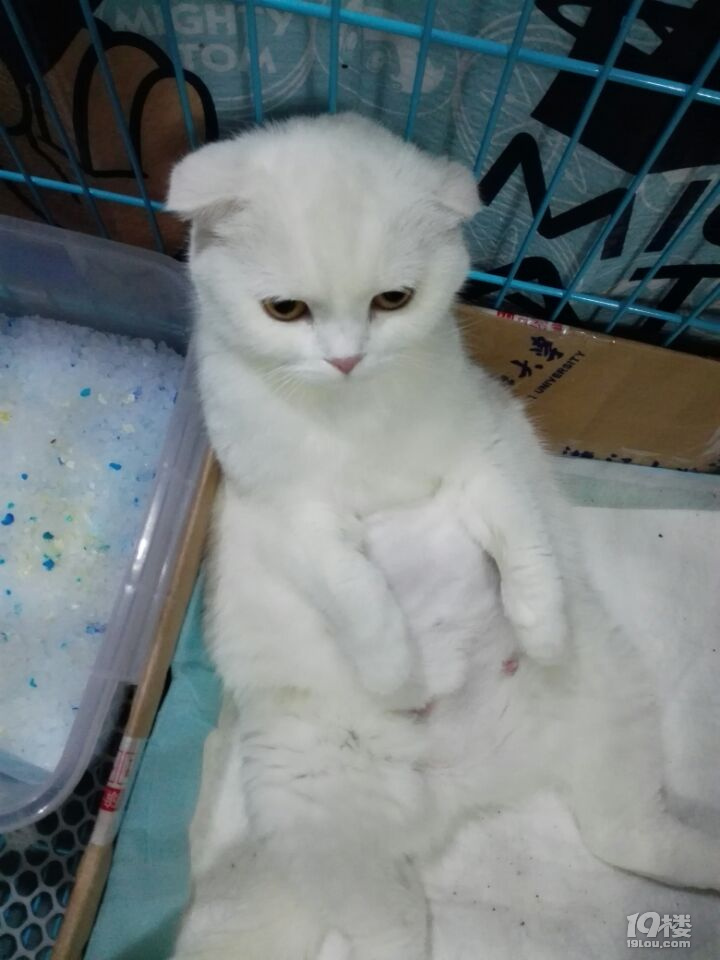̣˵؈~~~~