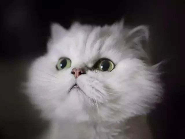 Լx؈ҲҪB(yng)ȥ