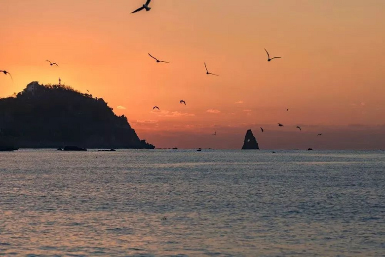 均溫20℃的海濱老城，紫色泡桐花美得像國外，現(xiàn)在去性價比超高