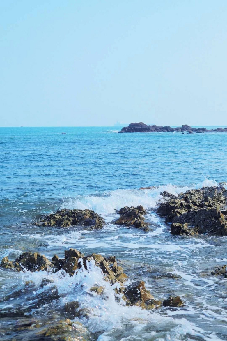 均溫20℃的海濱老城，紫色泡桐花美得像國外，現(xiàn)在去性價比超高