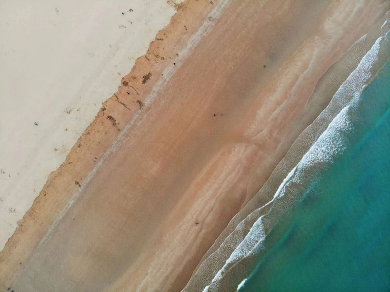 均溫20℃的海濱老城，紫色泡桐花美得像國外，現(xiàn)在去性價比超高