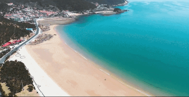 均溫20℃的海濱老城，紫色泡桐花美得像國外，現(xiàn)在去性價比超高