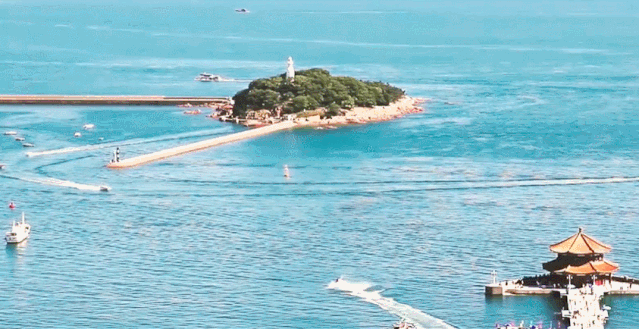 均溫20℃的海濱老城，紫色泡桐花美得像國外，現(xiàn)在去性價比超高