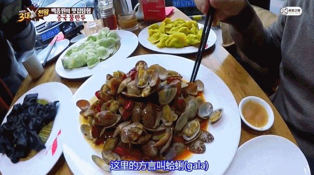 均溫20℃的海濱老城，紫色泡桐花美得像國外，現(xiàn)在去性價比超高