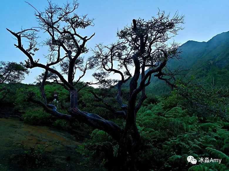 我和火山的奇幻相遇