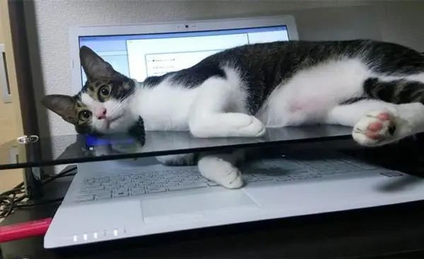 ؈IP: mˮ؈