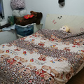 鿴ß