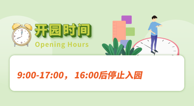 ^@ȺW(wng)tС¹¹
