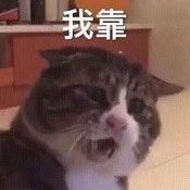ݕǡǧfšy_BʵĻyƷȲ