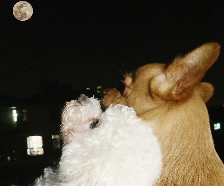 uֻooľW(wng)tᡱ܇