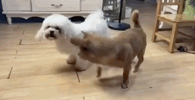 u裡ֻooľW(wng)tᡱ܇