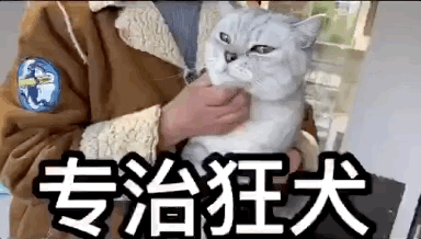 u裡ֻooľW(wng)tᡱ܇ˣ