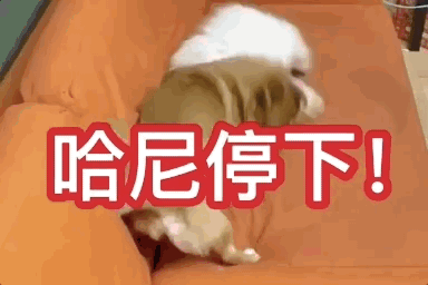 uֻooľW(wng)tᡱ܇