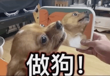 uֻooľW(wng)tᡱ܇