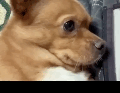 uֻooľW(wng)tᡱ܇