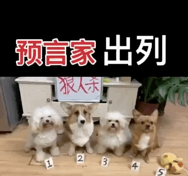 uֻooľW(wng)tᡱ܇