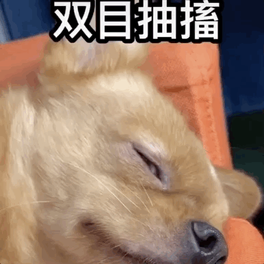 uֻooľW(wng)tᡱ܇