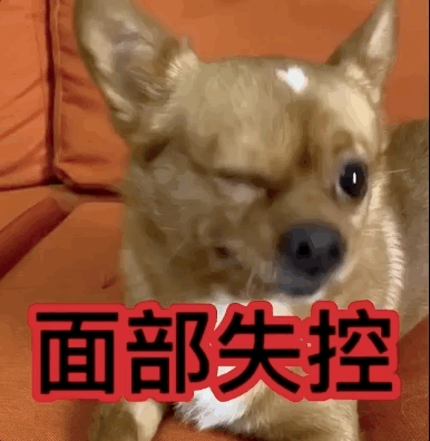 uֻooľW(wng)tᡱ܇