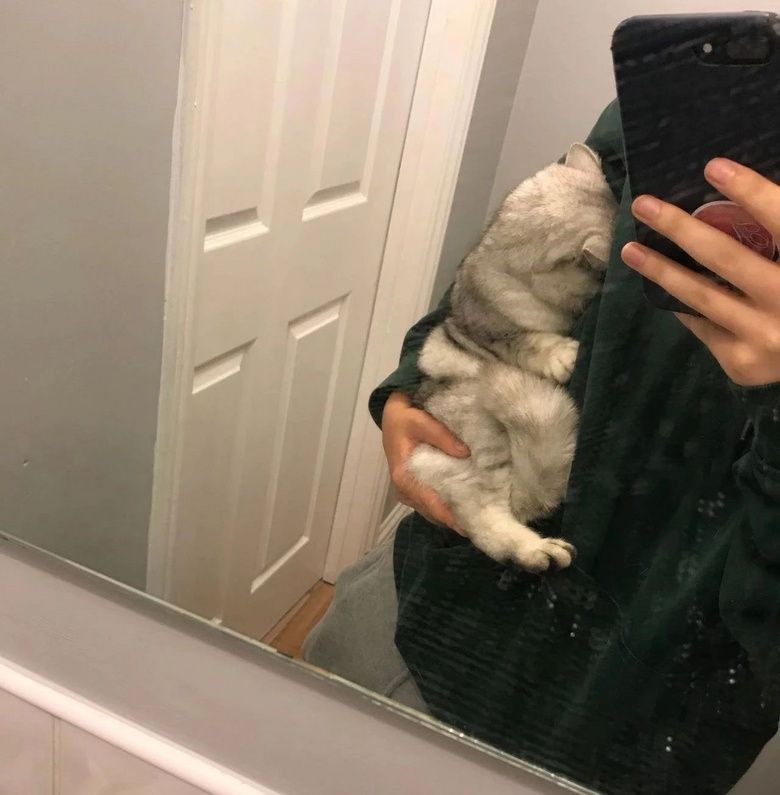 Ҹ؈ģY(ji)؈