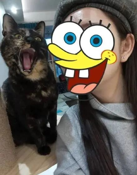 Ҹ؈Y(ji)؈