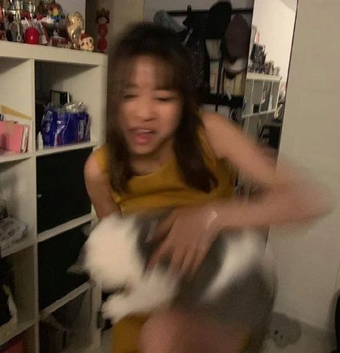 Ҹ؈ģY(ji)؈
