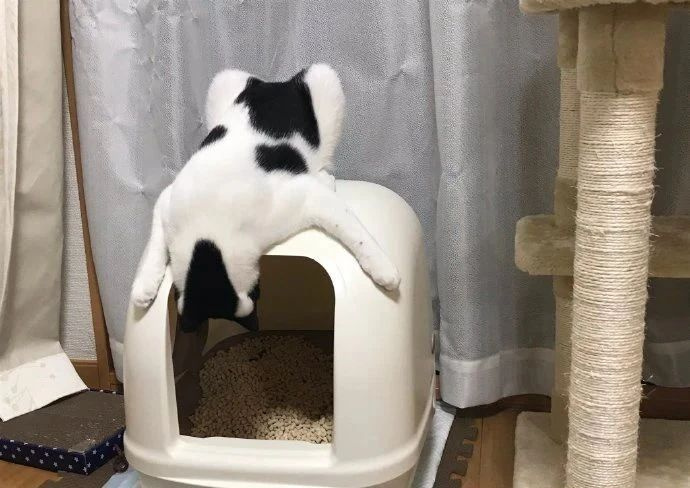 ؈ʺȻ؈ɰpԼġʺ