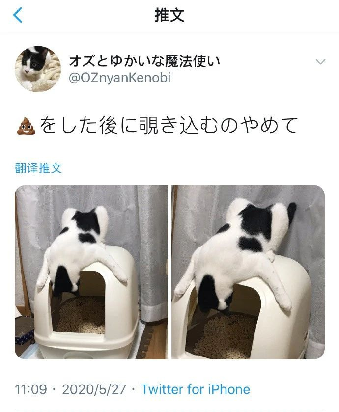 ؈ʺȻ؈ɰpԼġʺ