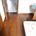 鿴ß