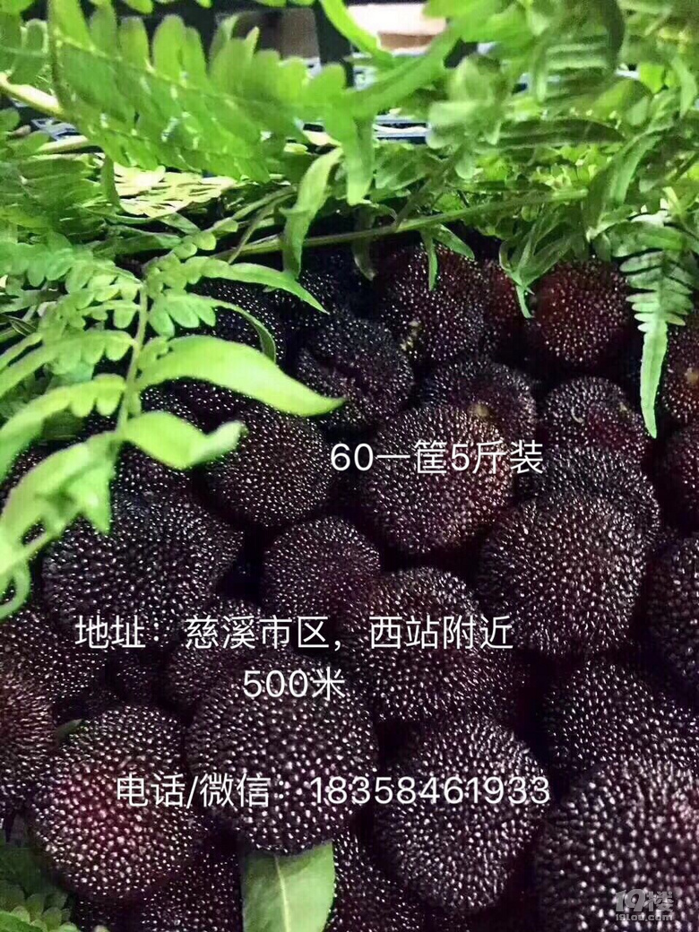 Ϫ÷65_ժ60/5b^ÛA(y)sɿf