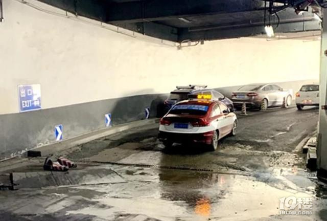 前車向后溜車，該按喇叭還是趕緊躲？
