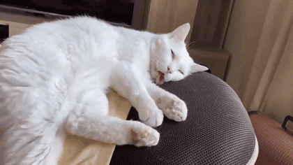 我把舌头忘在外面了咋办!在线等挺急的!